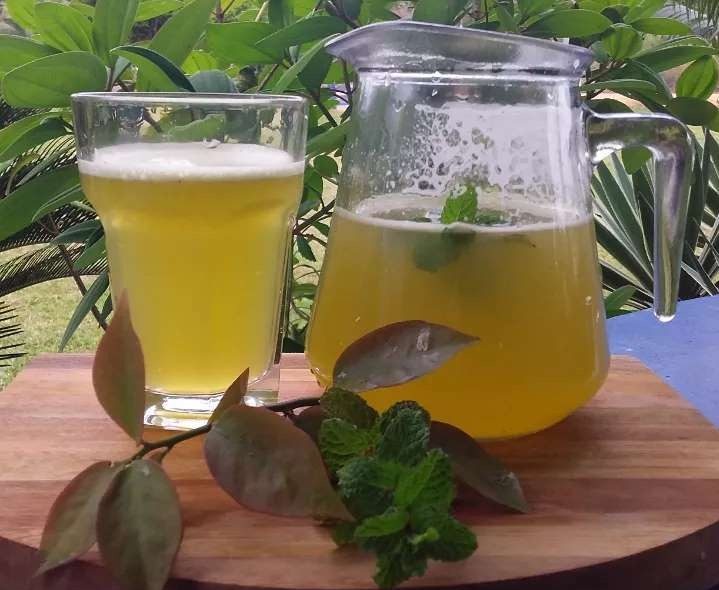 Suco de ora pro nóbis limão bem refrescante