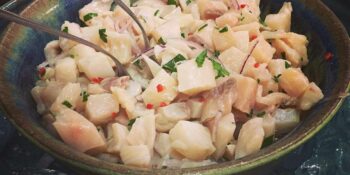 Ceviche de peixe branco