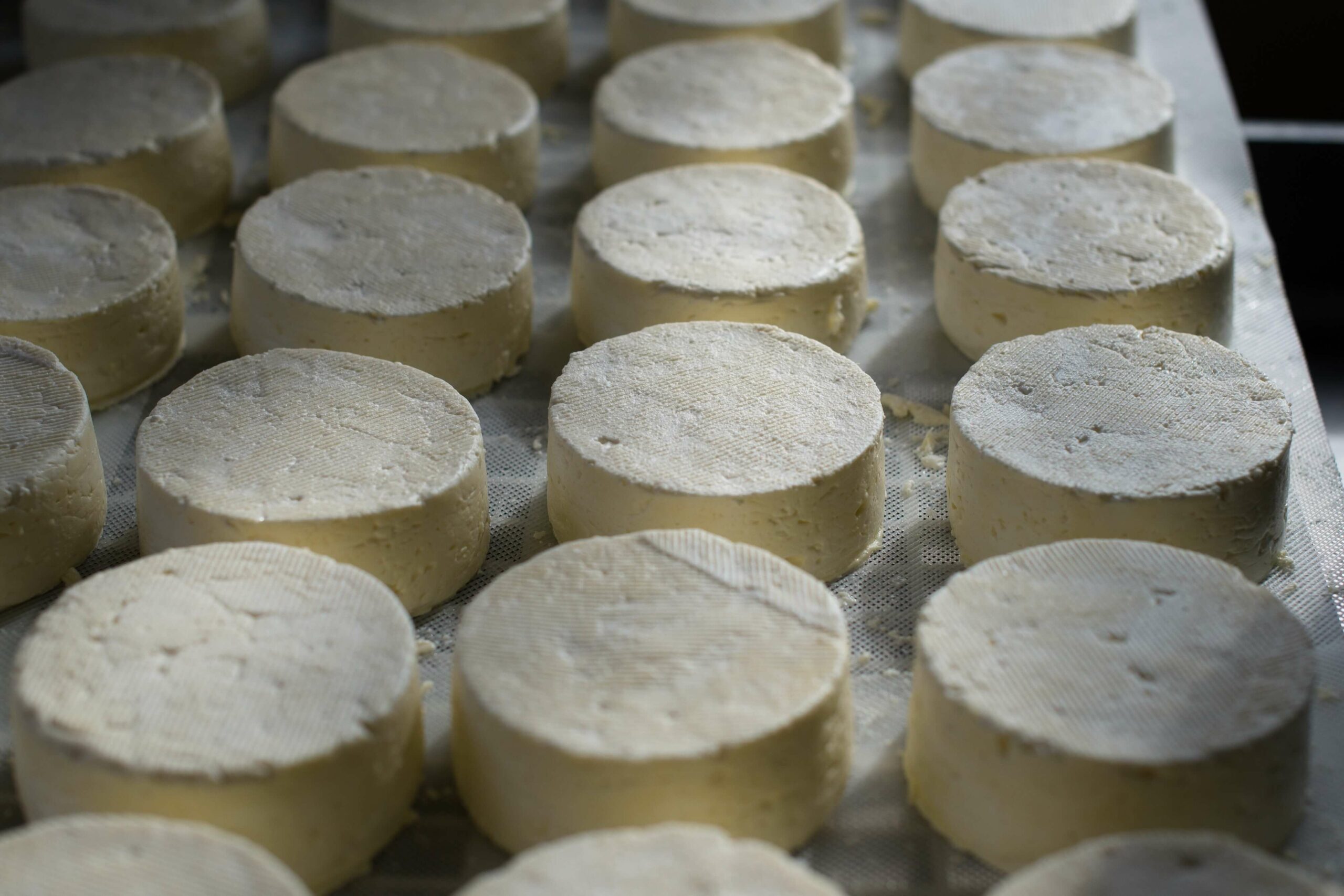 Abóbora batã com queijo de cabra