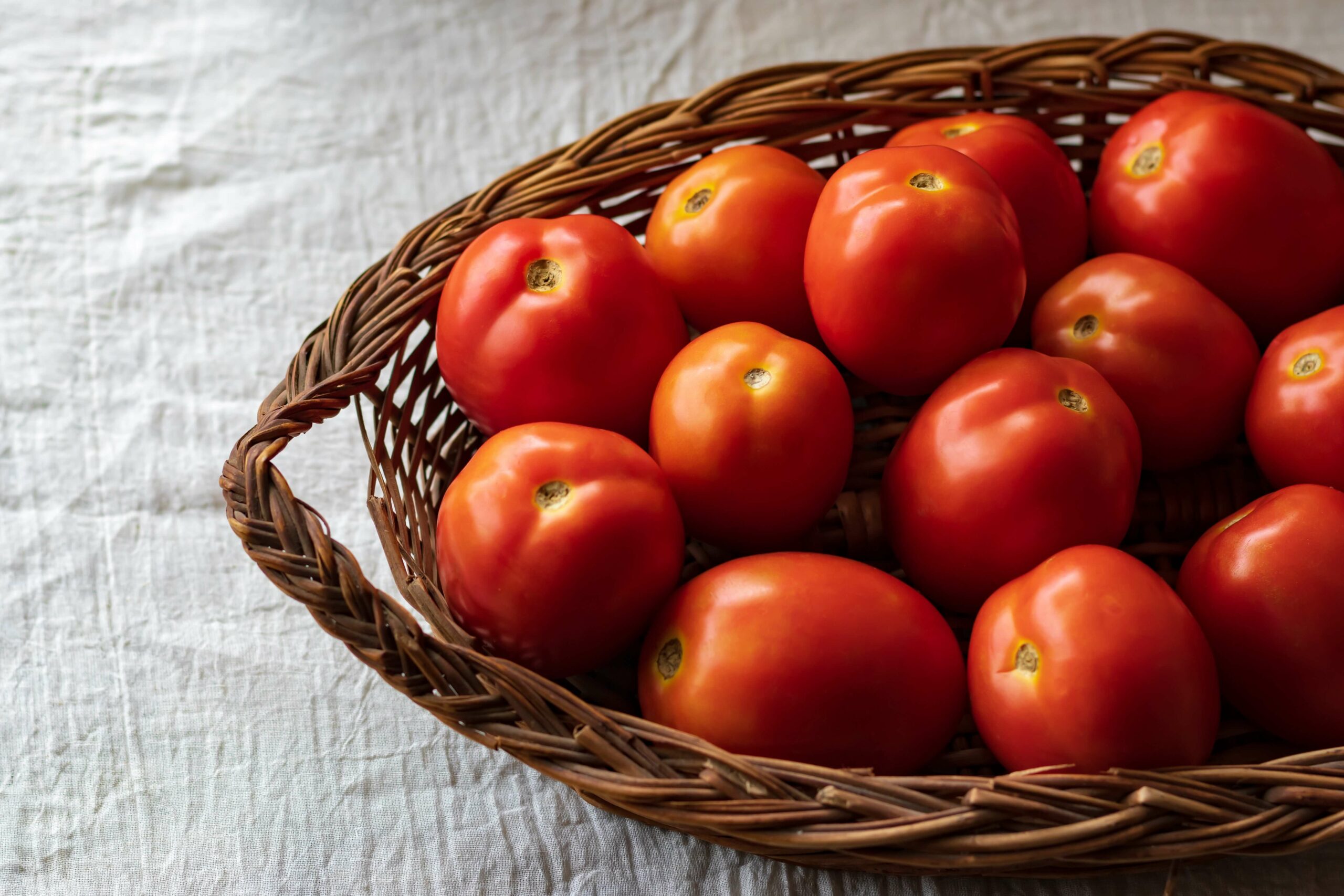 Frango picado com tomate