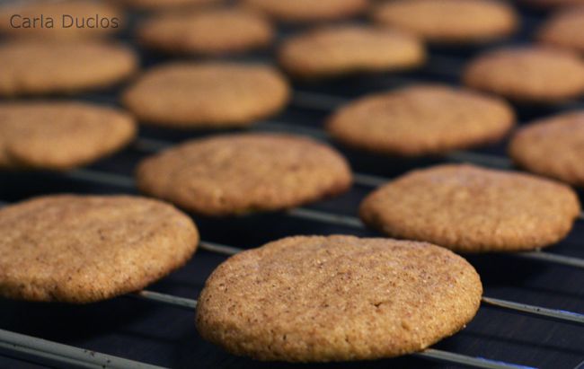 biscoito de canela fácil prático rápido