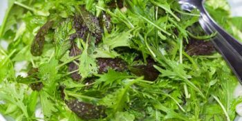 salada de alface roxa e rúcula
