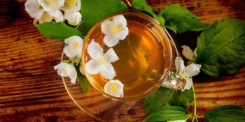 chá de flor de jasmim