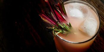 suco de ruibarbo com gengibre