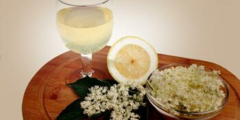 gim tônica com licor de sabugueiro
