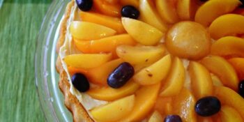 torta de damasco fresco