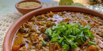 Sarapatel nordestino