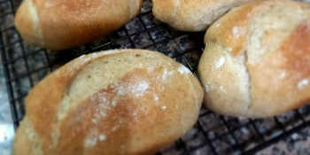 Pão francês sem glúten