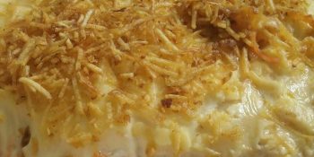 Fricassê de frango com requeijão