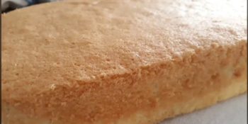 Bolo de massa branca