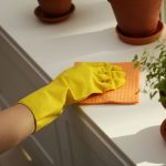 limpar com óleo de coco