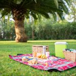 receitas para piquenique