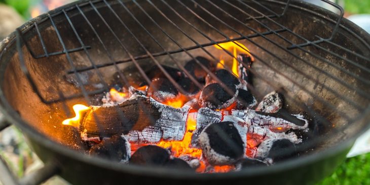 tipo de carvão para churrasco