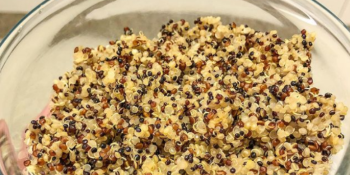 Quinoa cozida