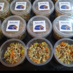 Comida caseira para cachorros de um jeitinho fácil para te fazer economizar