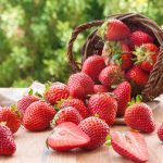 como escolher morangos