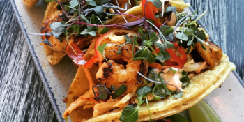 Tacos de camarão