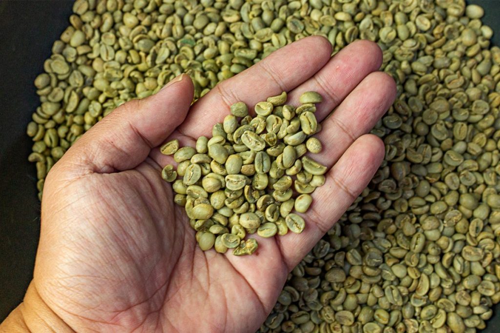 cozinhar feijão verde