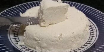 Queijo de leite de vaca