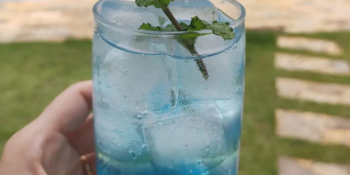 Drink lagoa azul