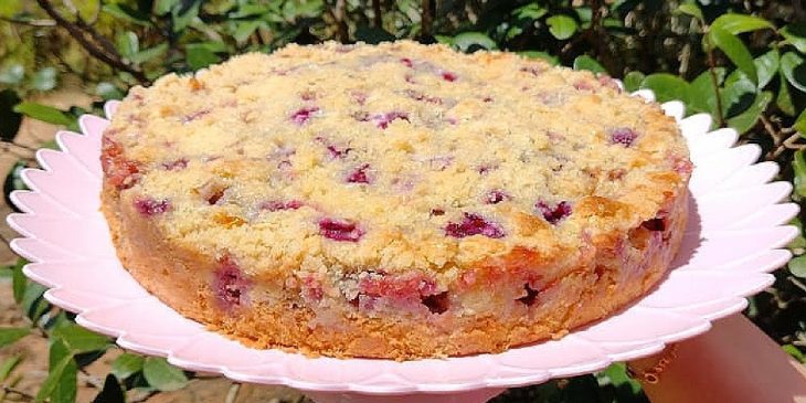 Receita de cuca de uva tradicional com massa macia e uma farofinha por cima @cozinhandocomaneia