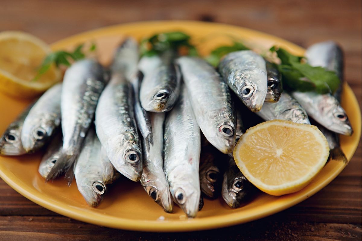 peixes que substituem o bacalhau