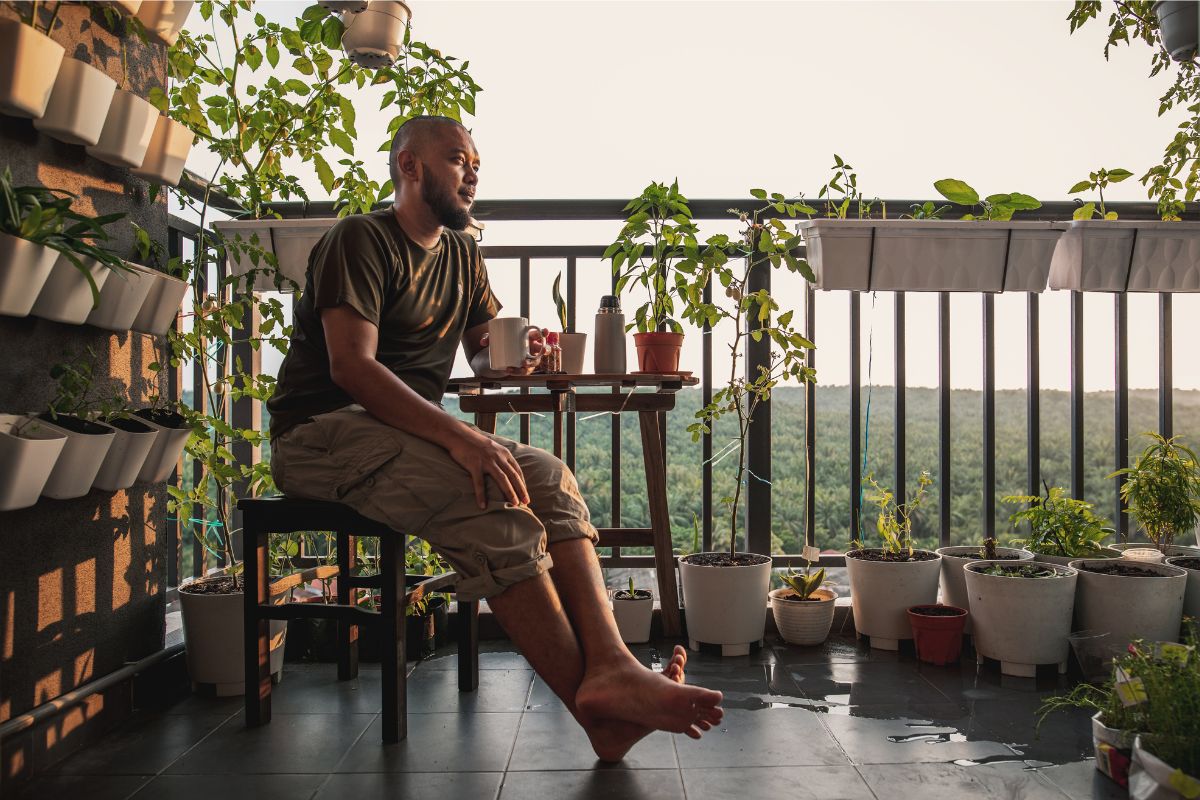 melhores ervas para plantar em casa