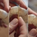 como limpar camarão com palito de dente