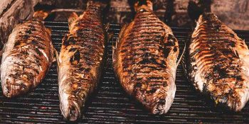 peixe na brasa