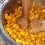 suco de cajá @arteruraleculturadaserra