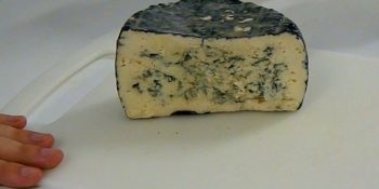 Gorgonzola caseiro