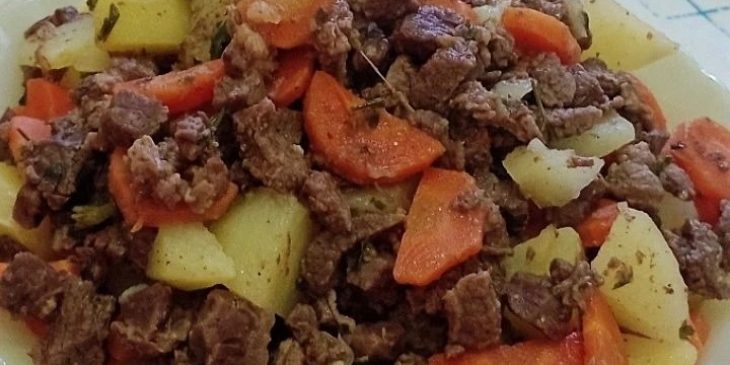 Carne de panela desfiada com legumes