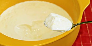 Iogurte natural feito em casa com 2 ingredientes