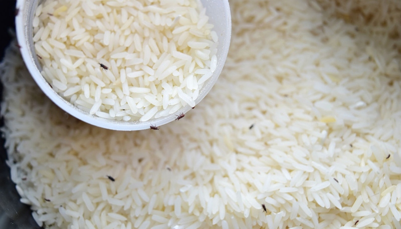 identificar-caruncho-no-feijao-e-arroz