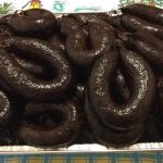 morcela branca como preparar morcela de porco morcela branca tem sangue morcela branca ingredientes morcela branca como comer morcela como é feita morcela vermelha morcela ou morcilha