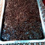 Bolo de chocolate tudo gostoso simples