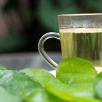 ora pro-nóbis faz mal para o figado quantas folhas de ora-pro-nóbis para fazer um chá qual o melhor horário para tomar o chá de ora-pro-nóbis como fazer chá de ora-pro-nóbis para que serve como fazer o chá de ora-pro-nóbis para emagrecer pode tomar chá de ora-pro-nóbis à noite quantas folhas de ora-pro-nóbis devo comer por dia quais as doenças que ora-pro-nóbis cura