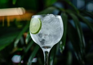 Drink com gin tradicional