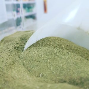 Farinha de ora pro nóbis