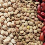 feijão lentilha grão de bico