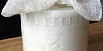 kefir