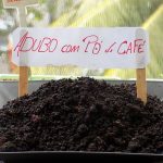 adubo para plantas com borra de café