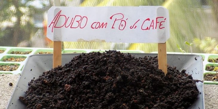 adubo para plantas com borra de café