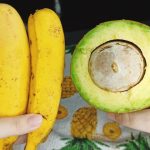 frutas que não podem ir para geladeira