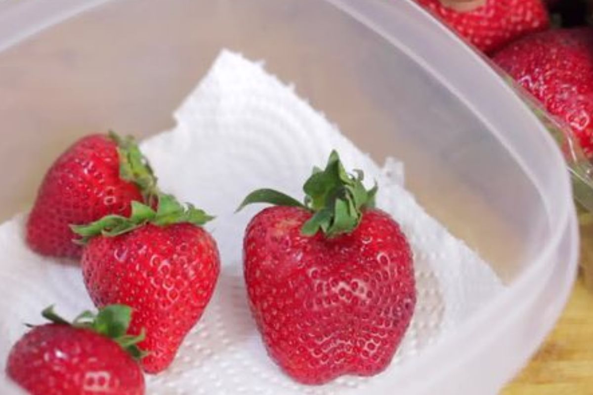 frutas que não podem ir para geladeira