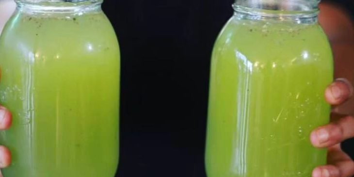 Suco de pepino com limão refrescante