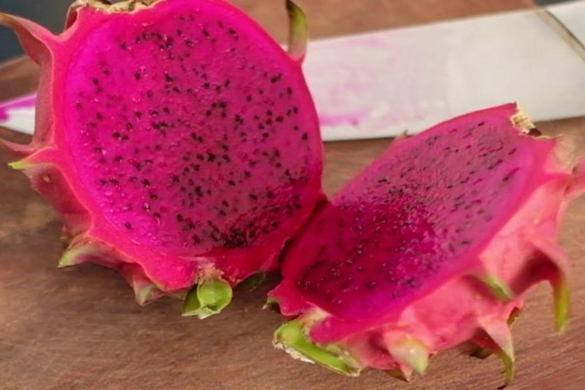 escolher pitaya