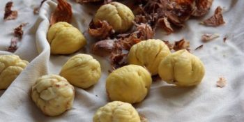 Castanha portuguesa