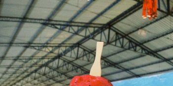 Sorvete de frutas tropicais