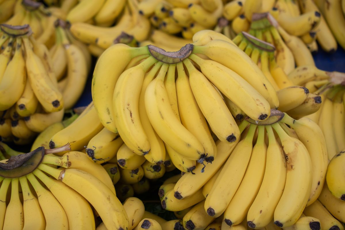 frutas para comer cruas